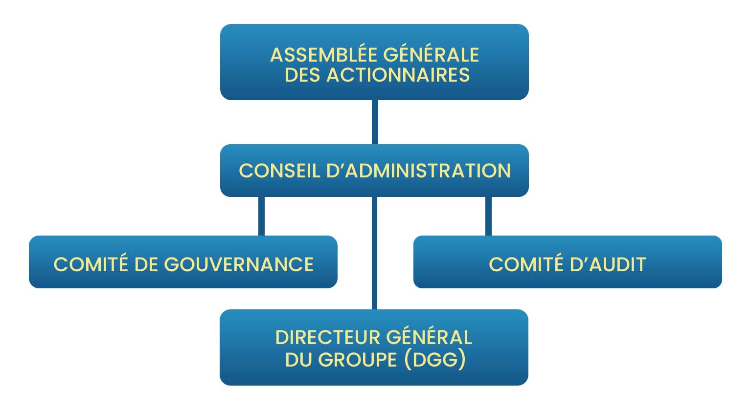Finam Organigramme de Gouvernance
